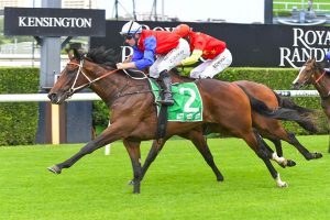 Hilal at Randwick