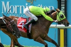 Sin To Win proves too strong at Mornington