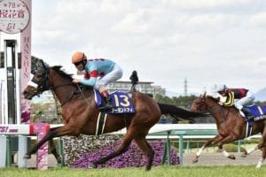 Grade 1 Japan Cup preview