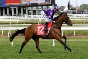 Moroney seeks third Victoria Derby with Chapada