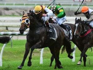 Most Important win for Gollan in Noud