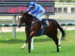 Neptune's Spear aims for Karaka Millions