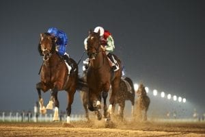 Af Maher Stays Unbeaten At Sharjah In Saturday Feature