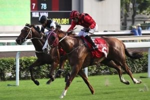 Track record for Eagle Way as big guns burn out in Jockey Club Cup