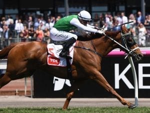 Hellova Street wins Flemington Group Three