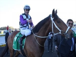 Patrick Erin Lexus Stakes decision looms