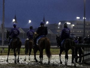 Gosden and O'Brien inspect sodden track