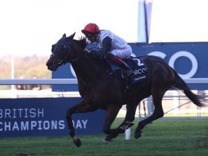 Cracksman, Winx equal in latest rankings