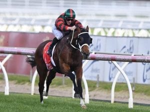 Randwick Guineas could shape Sun's autumn