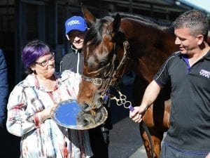 Fourth Cox Plate tantalising for Winx