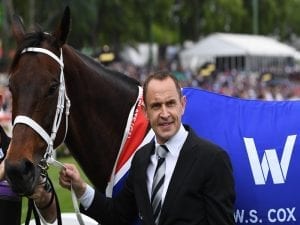 No retirement decision for champion Winx