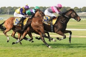 Final field released for Jericho Cup at Warrnambool