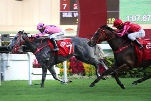 Prawn proves the King for returning Moreira