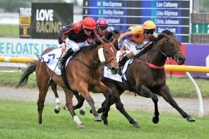 Miss Federer wins at Riccarton