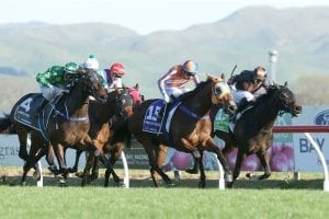 Group 1 gallopers make winning trials returns