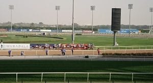 Group 1 Sheikh Zayed Bin Sultan Al Nahyan Jewel Crown, World’s Richest Purebred Arabian Race, Draws 14 Runners