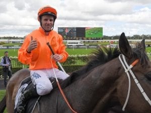 Winners keep it in the family at Rosehill