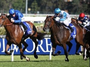 Testashadow to the fore at Rosehill