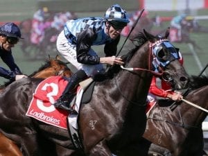 Ringerdingding wins G2 Sandown Guineas