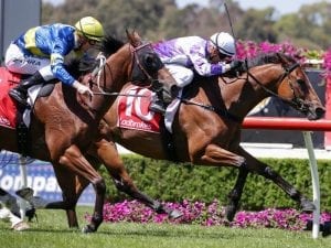 Cool Passion to be set for Adelaide G1