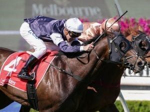 The Taj Mahal prevails in Zipping Classic