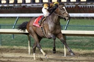 Signalman sends message in Kentucky Jockey Club