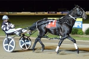 Tiger Tara heads into Inter Dominion as top seeded pacer