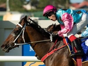 Kevin Kemp sold on mare's Buffering win