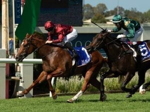 Sun shines on McEvoy's BJ McLachlan tip