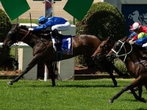 Godolphin's Tally nabs Millions wild card