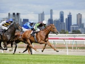 Crafty veteran tops $1m in prize money