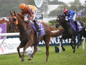 Gingernuts again on road to recovery after setback