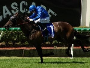 Godolphin attacks Magic Millions meeting