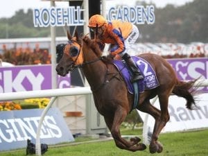 Melody Belle favourite for Railway