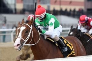 Maximus Mischief manages Remsen rivals