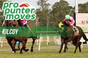 Market movers for Kilcoy, Friday December 29