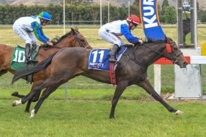 Pinup Coup winning at Kurow