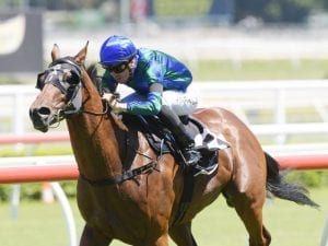 Mister Songman a real hit in famous silks