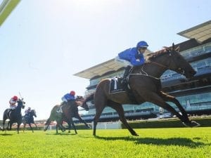 Alizee returns a winner at Randwick