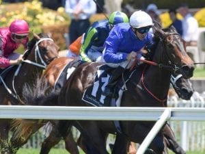 Canterbury Classic 2021 Racing Tips & Best Bets | Race 6