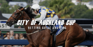 City of Auckland Cup