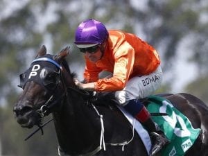 Hugh Bowman suspended at Warwick Farm