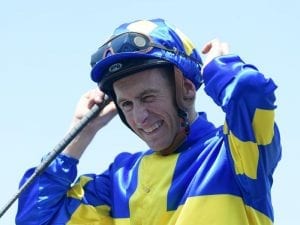 Blake Shinn's first ride back a winner