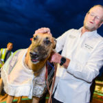 Zippy Tesla with handler Tom Dailly.