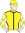 Jockey Silks