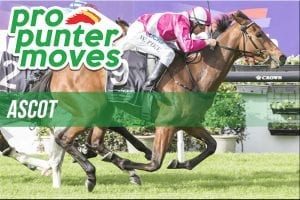 Ascot market movers for Wednesday, February 21