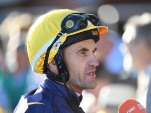 Dunn banking on blinkers in Blue Diamond