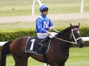 Chris Waller duo aimed at Rosehill Guineas