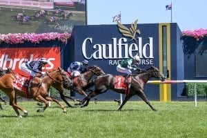 Facts and figures on Blue Diamond Stakes