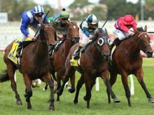 Nasaayim overcomes slow start at Caulfield